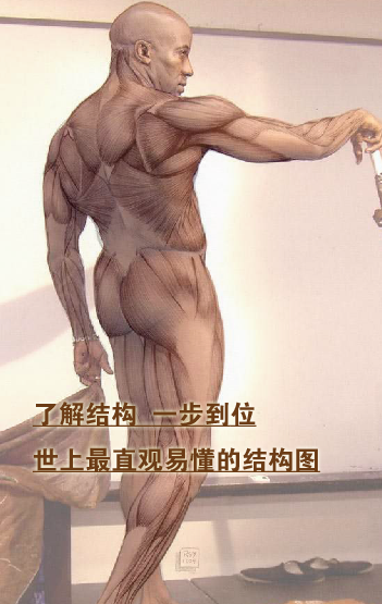 ṹͼֱ۵ṹͼ