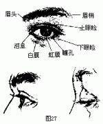۾