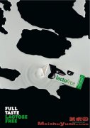 ţ̣Lactofree