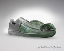 һAdidas˶Ь洴Ʒ