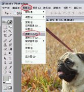 PhotoshopƬͼƬС