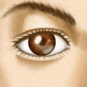 photoshop Ư۾