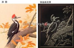 Photoshopͭ滭Ч