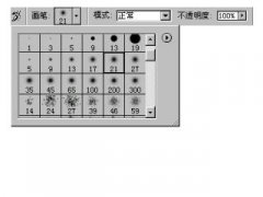 photoshop̳ƤǦʡˢͼµ