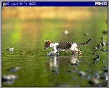 photoshop̳ʮɰ