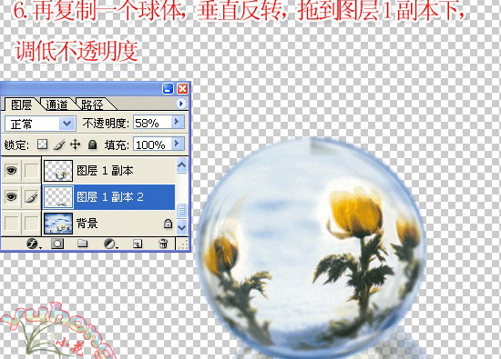 PhotoshopʵݺĻݲ
