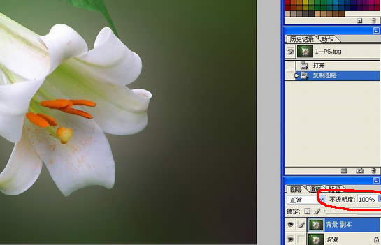 PhotoshopƬıalt=Ƭ򻯱ͻ