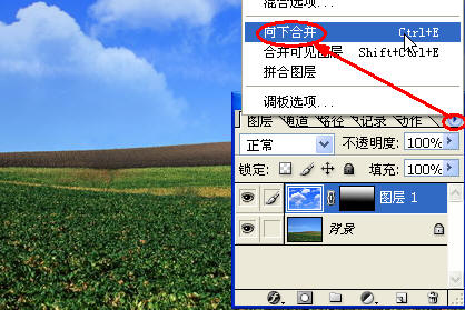 PhotoshopʹƬո