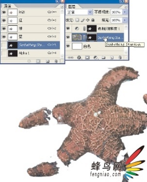 ŴͼƬ