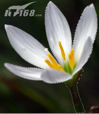 ܰǰֽͼģ