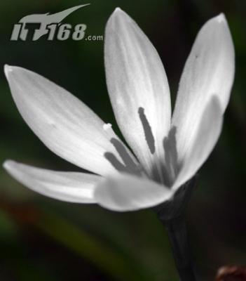 ܰǰֽͼ