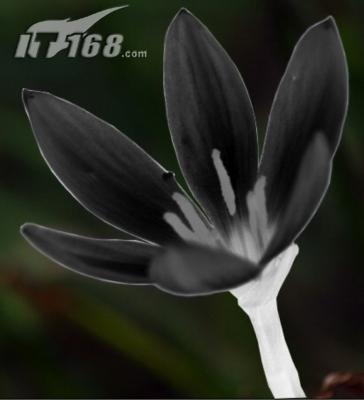 ܰǰֽͼߣ