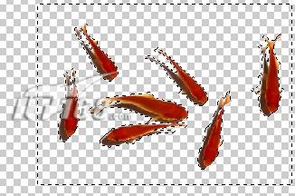 ܰǰƬͷ棨ͼʮˣ