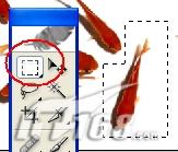 ܰǰƬͷ棨ͼʮţ