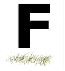 Photoshopë׵ƤëЧ