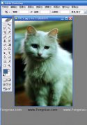 PhotoshopɣƬɫ¸