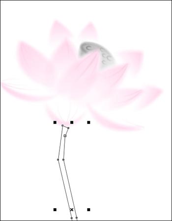 用Corel Draw绘制中国画荷花(图十四)