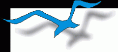 CorelDRAW9ʵ̳̣10