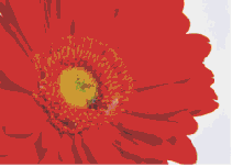 ʵѧCorelDRAW9ţͼһ