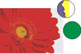 ʵѧCorelDRAW9ţͼ