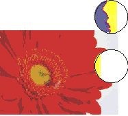 ʵѧCorelDRAW9ţͼ