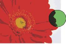 ʵѧCorelDRAW9ţͼ壩