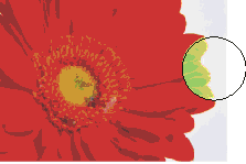 ʵѧCorelDRAW9ţͼ