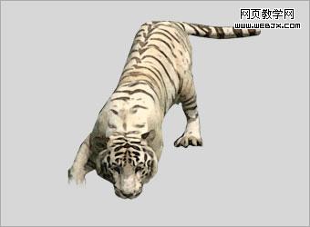 PhotoshopƹŵˮīƷ