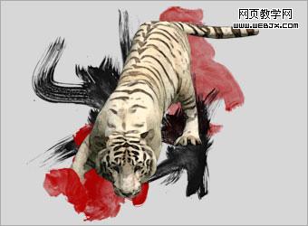 PhotoshopƹŵˮīƷ