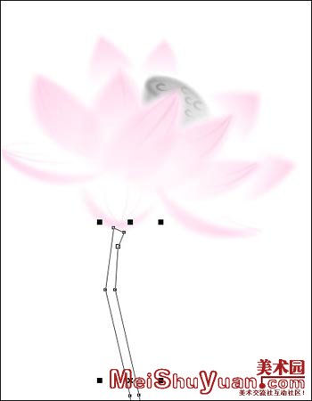 用Corel Draw绘制中国画荷花(图十四)