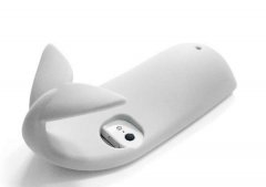 iPhone5